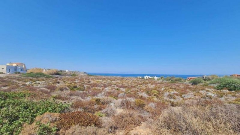 Stavros Kreta, Stavros: Grundstücke direkt am Meer mit Blick auf den Sonnenuntergang zu verkaufen Grundstück kaufen